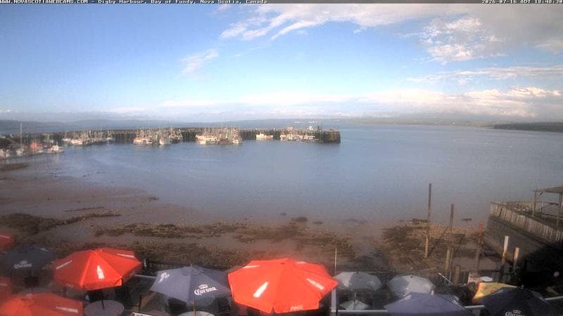 Digby Harbour
