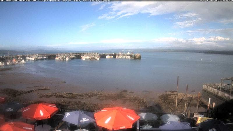 Digby Harbour