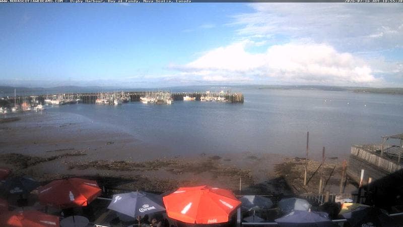 Digby Harbour