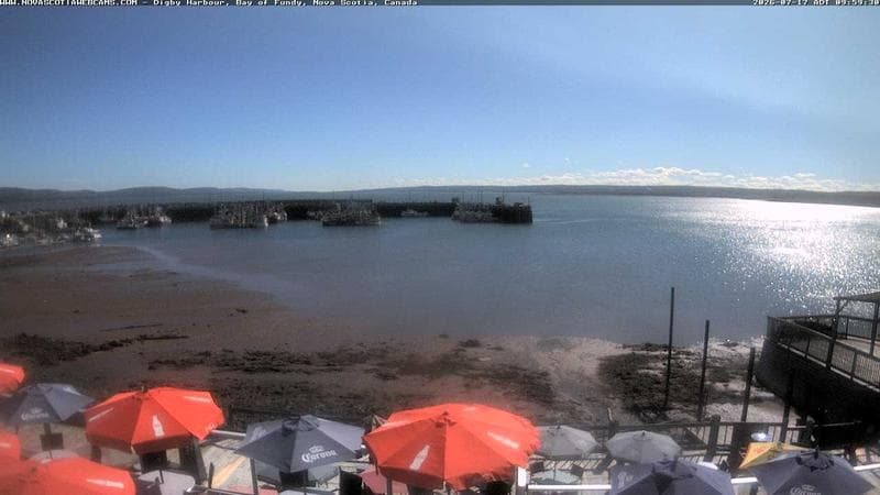 Digby Harbour