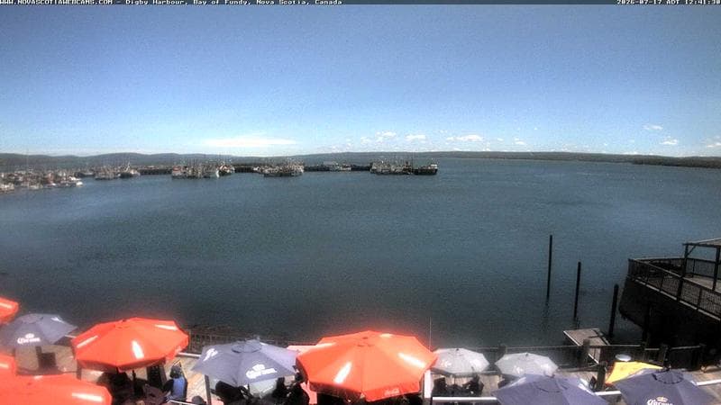 Digby Harbour