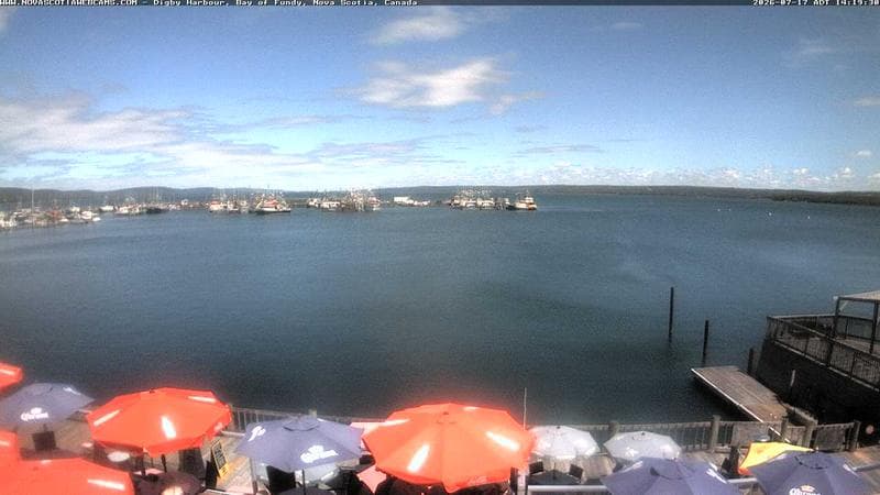 Digby Harbour