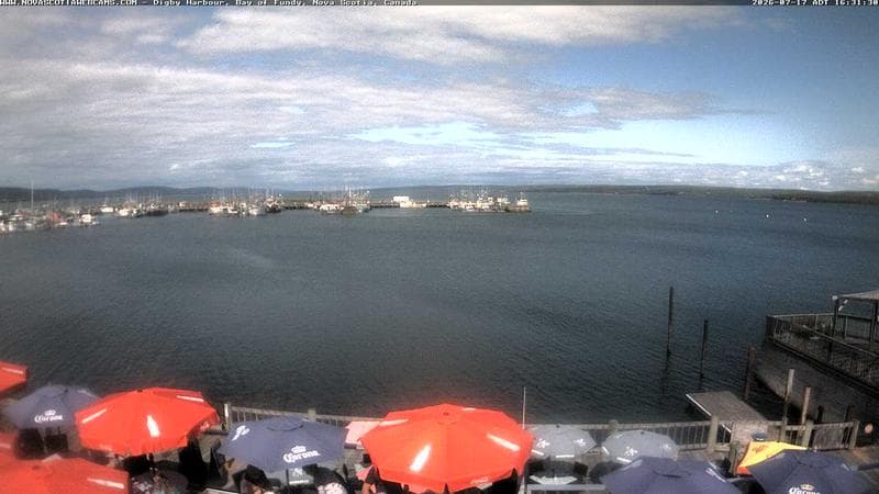 Digby Harbour