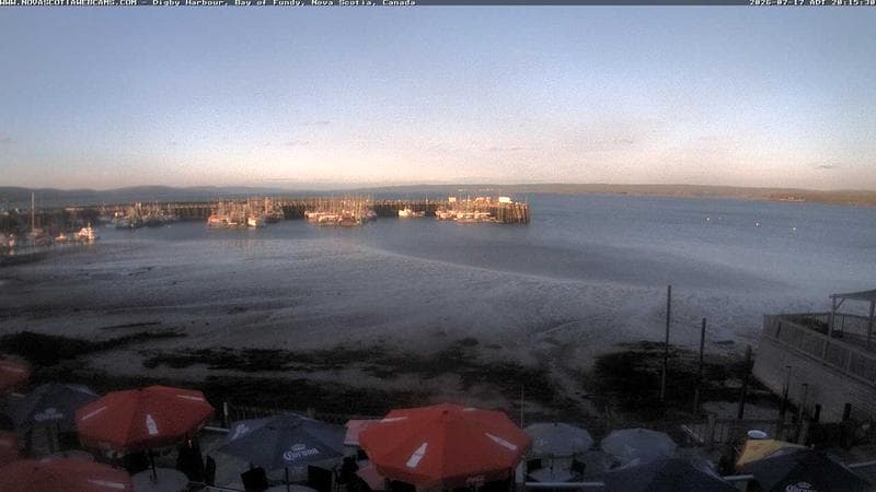 Digby Harbour