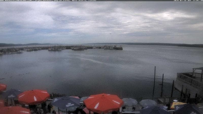 Digby Harbour