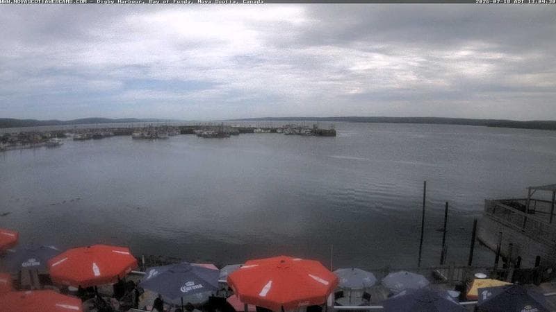 Digby Harbour