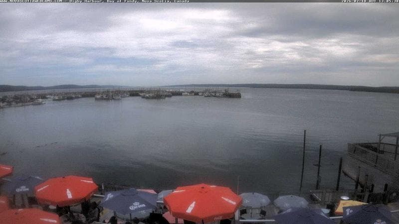 Digby Harbour