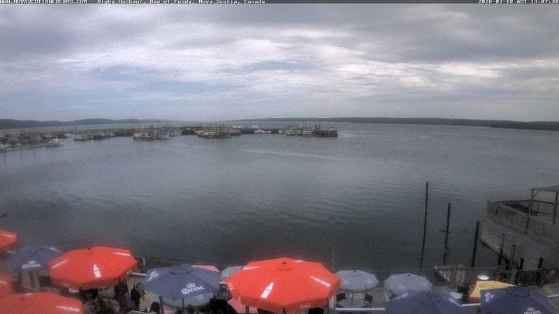 Digby Harbour