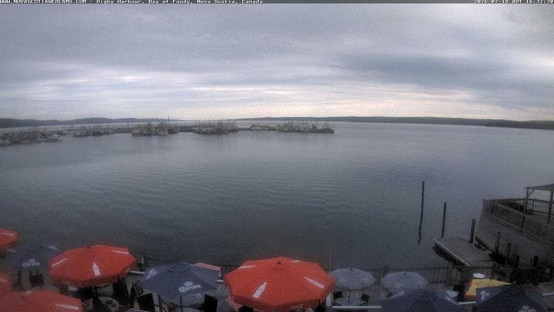 Digby Harbour