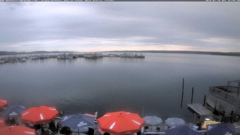 Digby Harbour