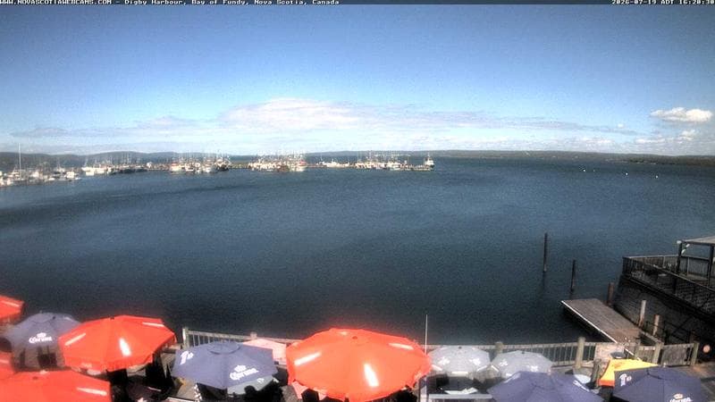 Digby Harbour