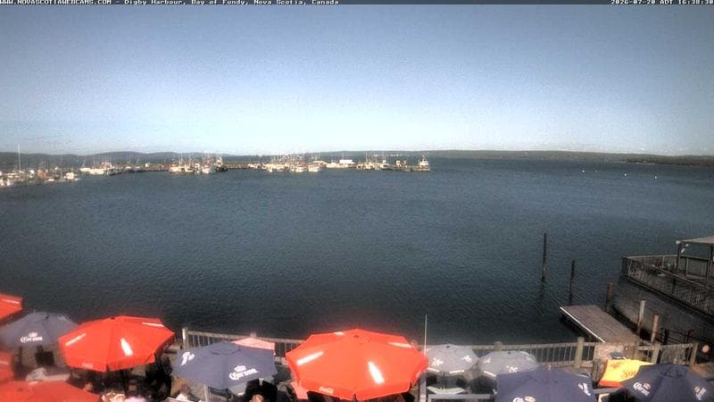 Digby Harbour