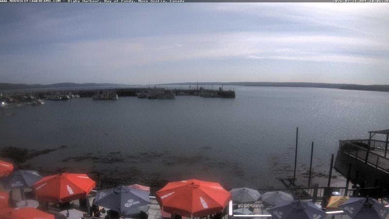 Digby Harbour