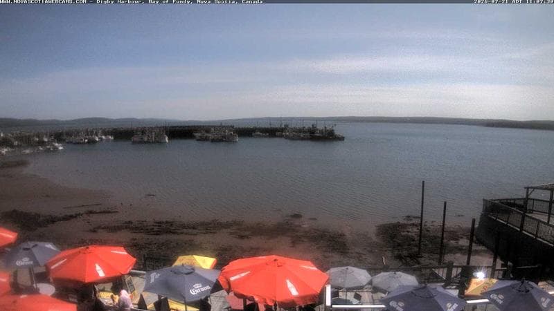 Digby Harbour
