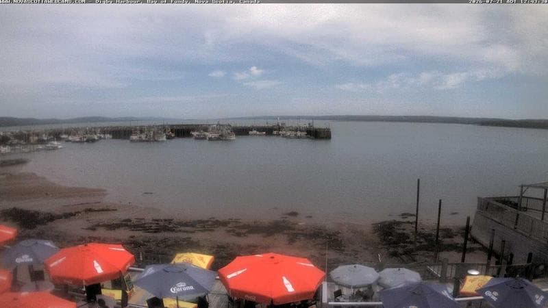 Digby Harbour