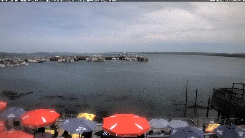 Digby Harbour