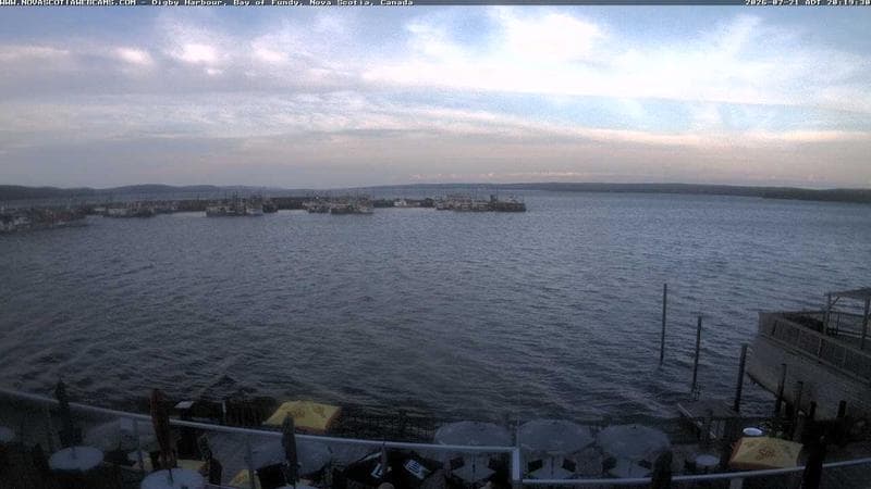 Digby Harbour