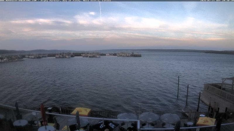 Digby Harbour