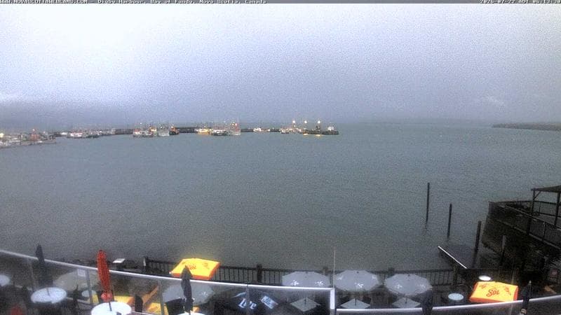 Digby Harbour