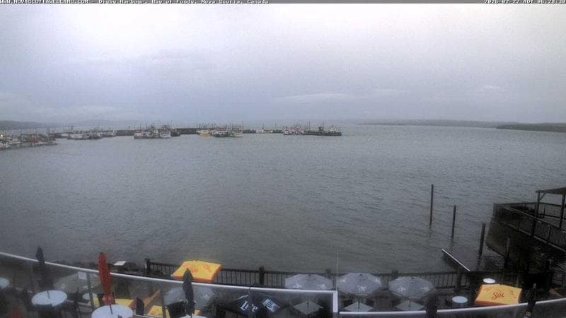 Digby Harbour