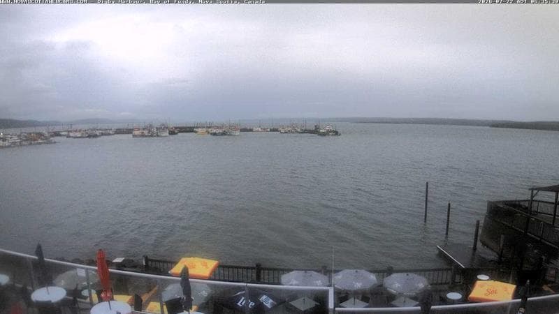 Digby Harbour