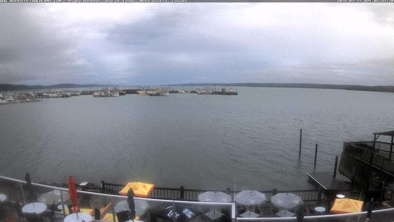 Digby Harbour