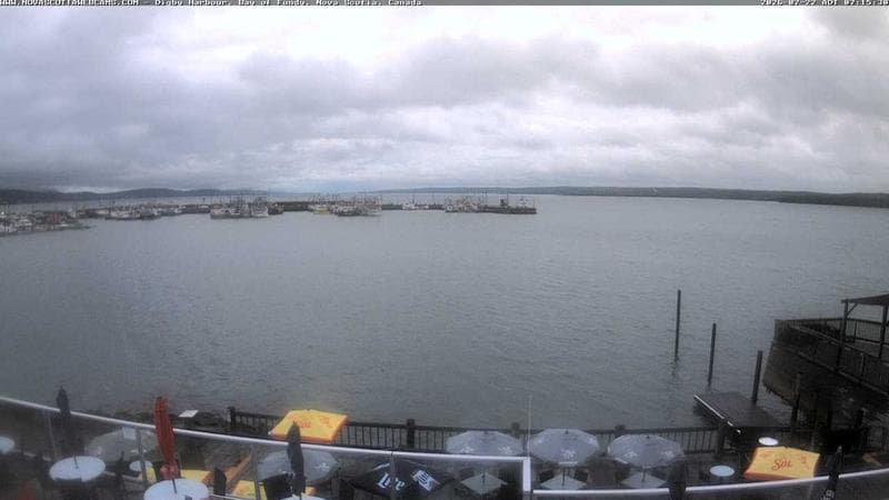 Digby Harbour