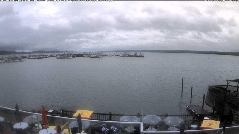 Digby Harbour