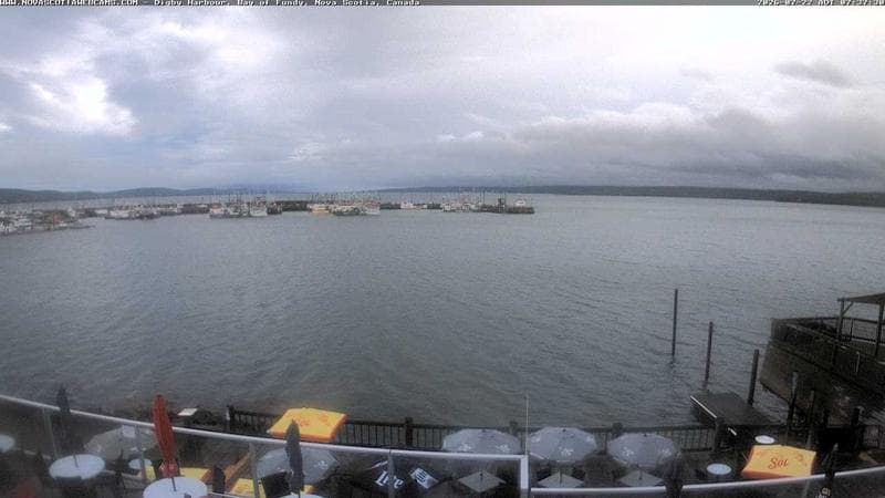 Digby Harbour