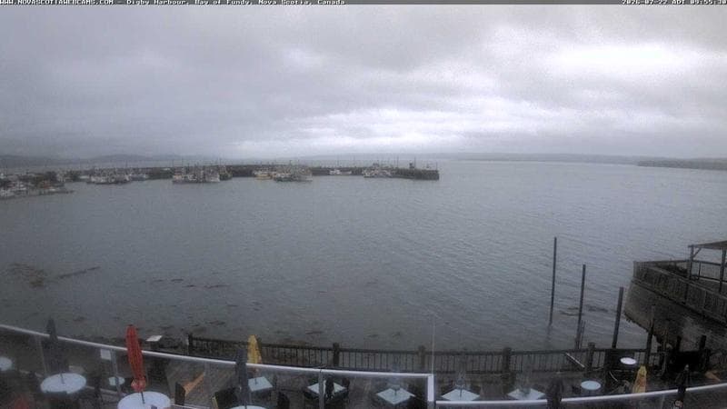 Digby Harbour