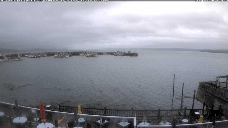 Digby Harbour