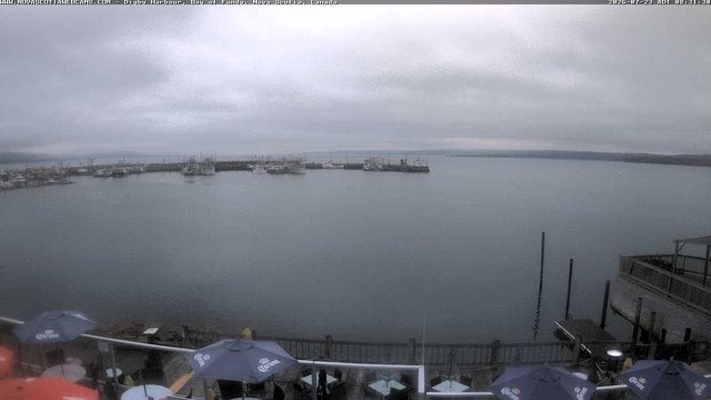 Digby Harbour