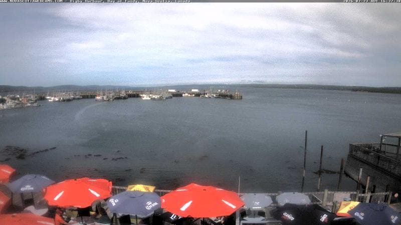 Digby Harbour