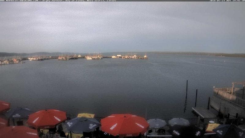 Digby Harbour