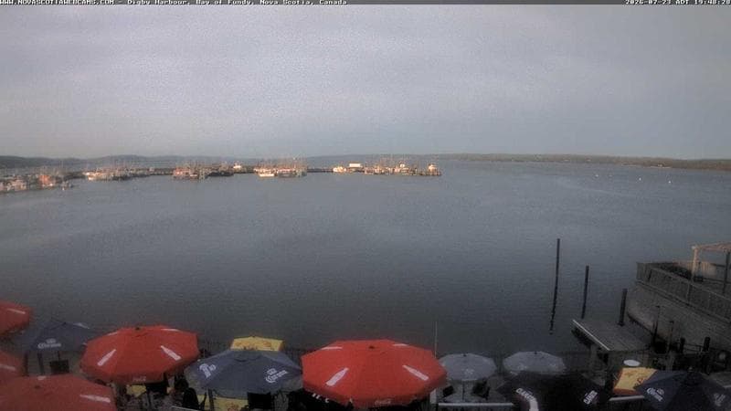 Digby Harbour