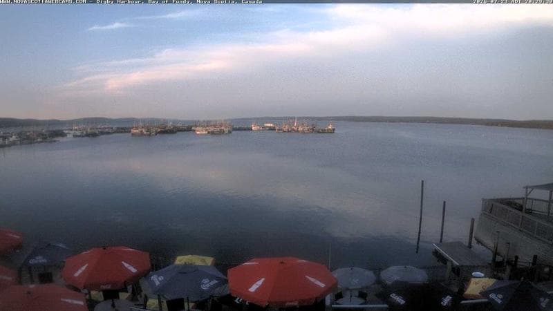 Digby Harbour