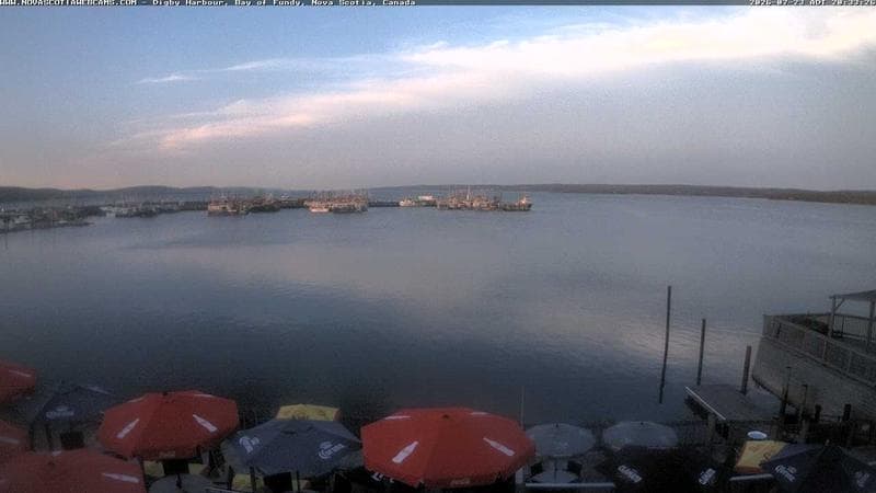Digby Harbour