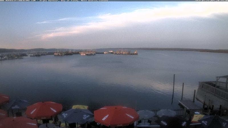 Digby Harbour
