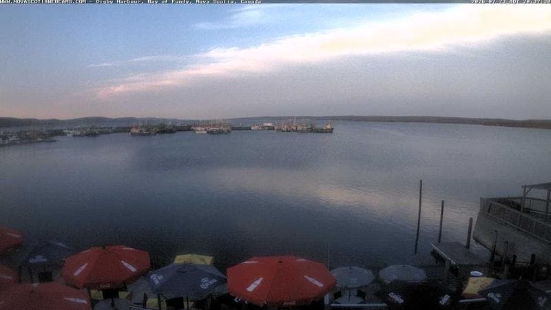 Digby Harbour