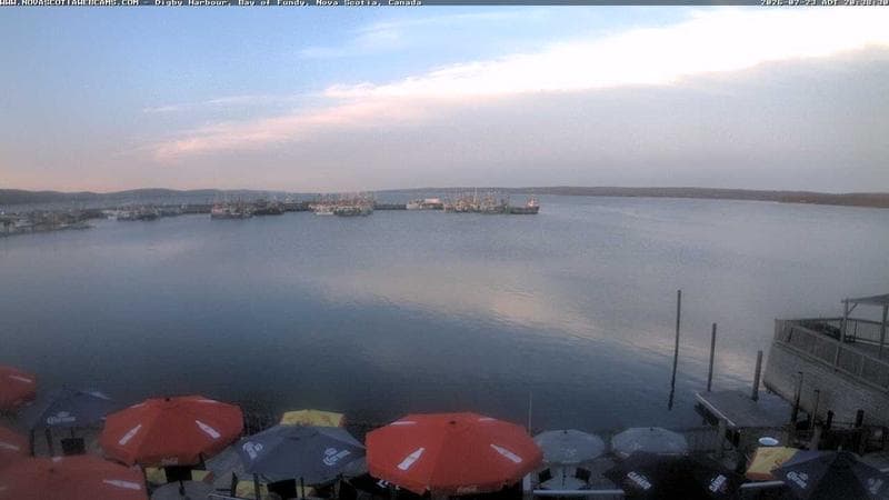 Digby Harbour