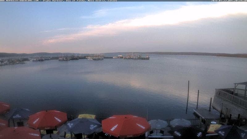 Digby Harbour