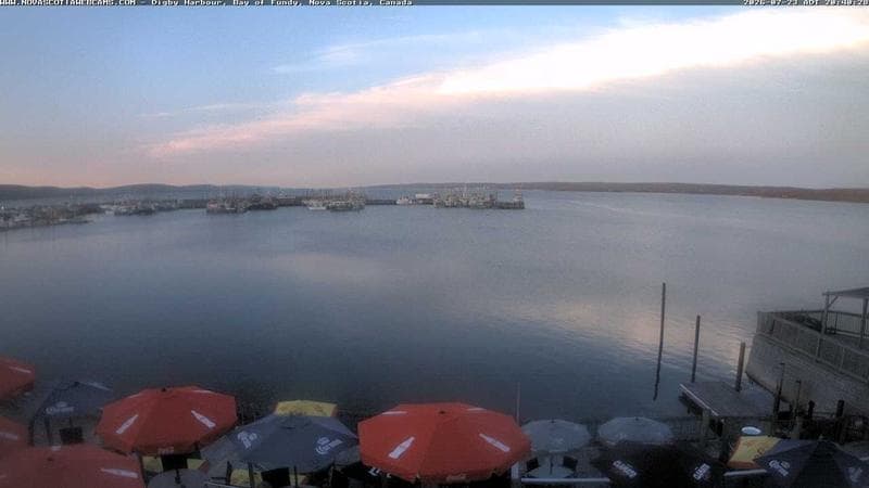 Digby Harbour