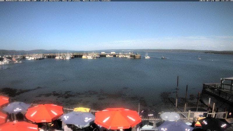 Digby Harbour