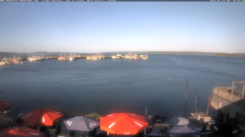 Digby Harbour