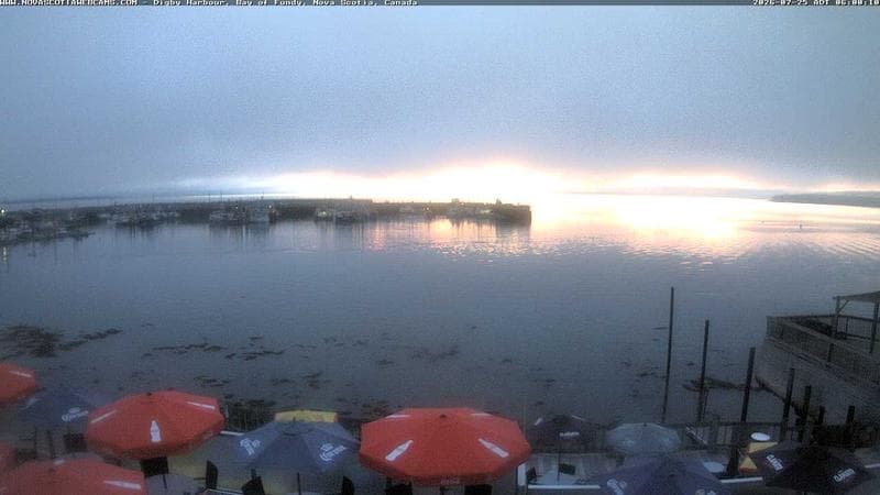 Digby Harbour