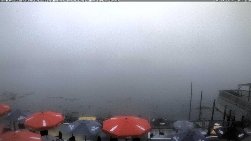 Digby Harbour