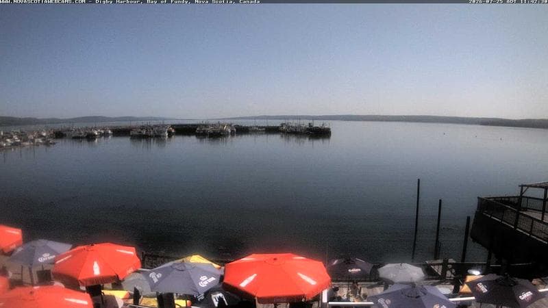 Digby Harbour