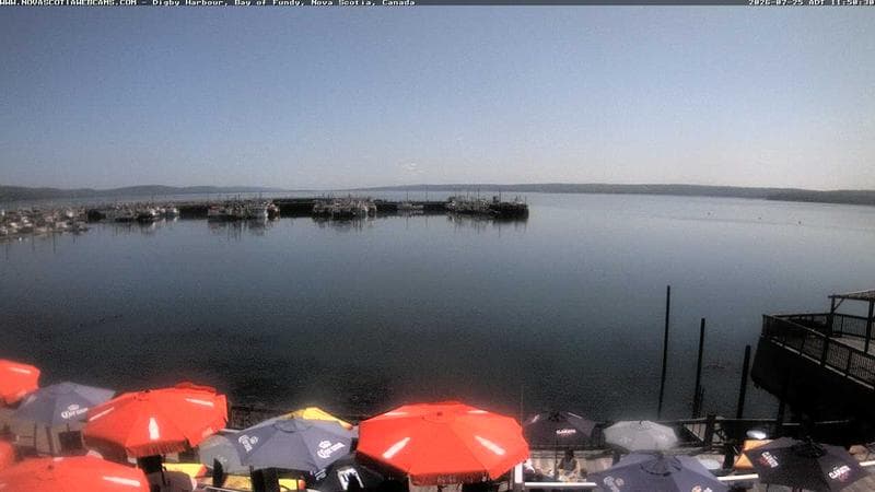 Digby Harbour