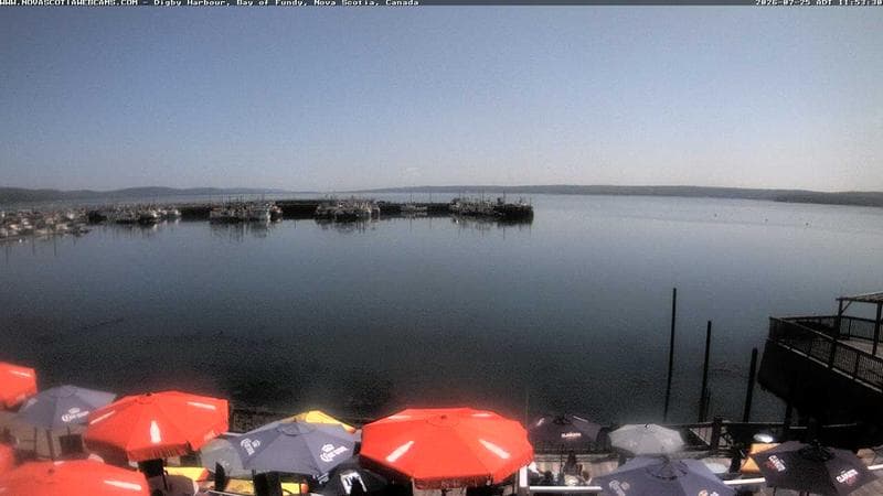 Digby Harbour