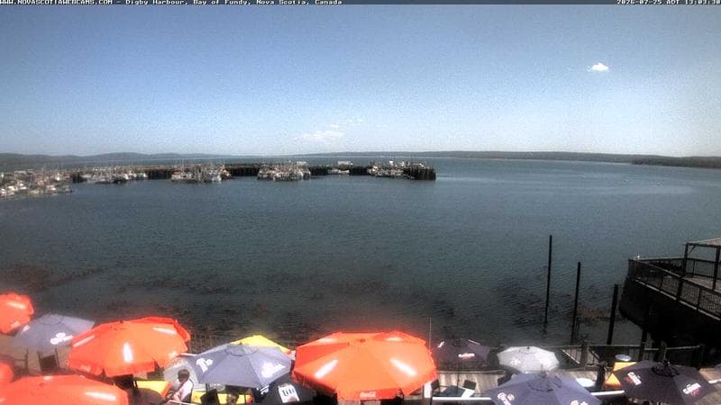 Digby Harbour